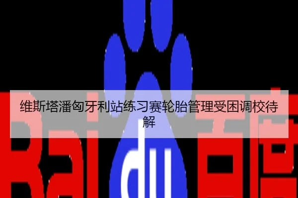 维斯塔潘匈牙利站练习赛轮胎管理受困调校待解